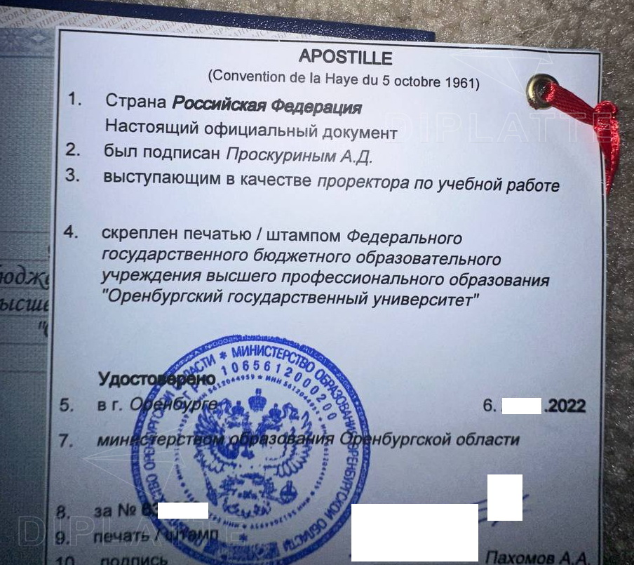 Апостиль на дипломе Оренбургского государственного университета от Минобрнауки Оренбургской области (2022 г.)